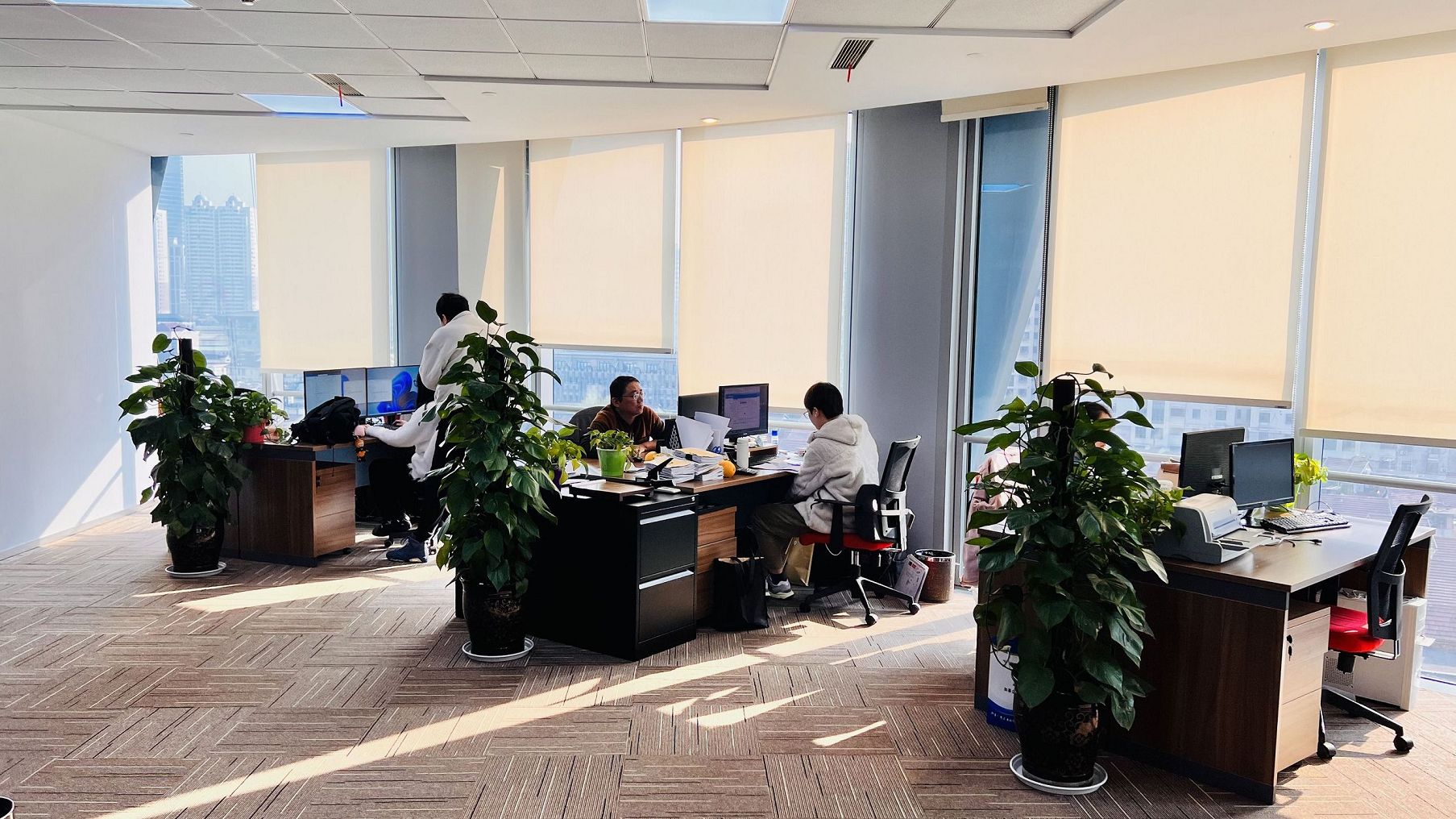 有限公司登记流程中公司章程备案与工商公示关系